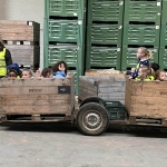 Bezoek aan de boomgaard