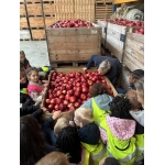 Bezoek aan de boomgaard