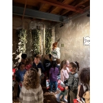 Schoolreis kleuters