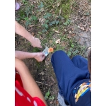 L1 en L2 naar het bos