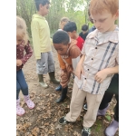 L1 en L2 naar het bos