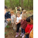L1 en L2 naar het bos