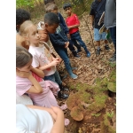L1 en L2 naar het bos