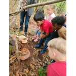 L1 en L2 naar het bos