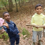 L1 en L2 naar het bos