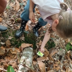 L1 en L2 naar het bos
