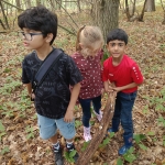 L1 en L2 naar het bos