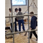 L4 Naar de Palingbeek-Aan het werk op de milieuboerderij + Wandeling met Boris
