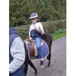 L4 Naar de Palingbeek-Aan het werk op de milieuboerderij + Wandeling met Boris
