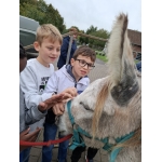L4 Naar de Palingbeek-Aan het werk op de milieuboerderij + Wandeling met Boris