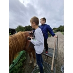 L4 Naar de Palingbeek-Aan het werk op de milieuboerderij + Wandeling met Boris