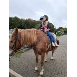 L4 Naar de Palingbeek-Aan het werk op de milieuboerderij + Wandeling met Boris