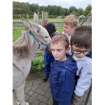 L4 Naar de Palingbeek-Aan het werk op de milieuboerderij + Wandeling met Boris