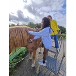 L4 Naar de Palingbeek-Aan het werk op de milieuboerderij + Wandeling met Boris