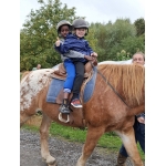 L4 Naar de Palingbeek-Aan het werk op de milieuboerderij + Wandeling met Boris