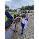 L4 Naar de Palingbeek-Aan het werk op de milieuboerderij + Wandeling met Boris