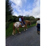 L4 Naar de Palingbeek-Aan het werk op de milieuboerderij + Wandeling met Boris