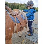 L4 Naar de Palingbeek-Aan het werk op de milieuboerderij + Wandeling met Boris