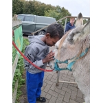 L4 Naar de Palingbeek-Aan het werk op de milieuboerderij + Wandeling met Boris
