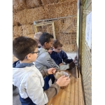 L4 Naar de Palingbeek-Aan het werk op de milieuboerderij + Wandeling met Boris
