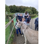 L4 Naar de Palingbeek-Aan het werk op de milieuboerderij + Wandeling met Boris