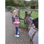 L4 Naar de Palingbeek-Aan het werk op de milieuboerderij + Wandeling met Boris