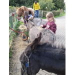 L4 Naar de Palingbeek-Aan het werk op de milieuboerderij + Wandeling met Boris