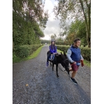 L4 Naar de Palingbeek-Aan het werk op de milieuboerderij + Wandeling met Boris