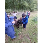 L4 Naar de Palingbeek-Aan het werk op de milieuboerderij + Wandeling met Boris