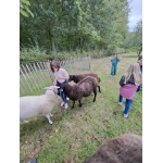 L4 Naar de Palingbeek-Aan het werk op de milieuboerderij + Wandeling met Boris