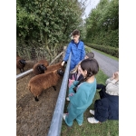 L4 Naar de Palingbeek-Aan het werk op de milieuboerderij + Wandeling met Boris