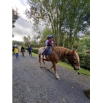 L4 Naar de Palingbeek-Aan het werk op de milieuboerderij + Wandeling met Boris