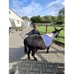 L4 Naar de Palingbeek-Aan het werk op de milieuboerderij + Wandeling met Boris