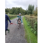 L4 Naar de Palingbeek-Aan het werk op de milieuboerderij + Wandeling met Boris