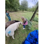 L4 Naar de Palingbeek-Aan het werk op de milieuboerderij + Wandeling met Boris
