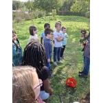 L4 Naar de Palingbeek-Aan het werk op de milieuboerderij + Wandeling met Boris