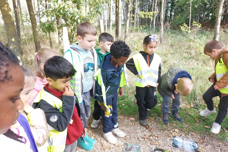 L1 naar de Palingbeek